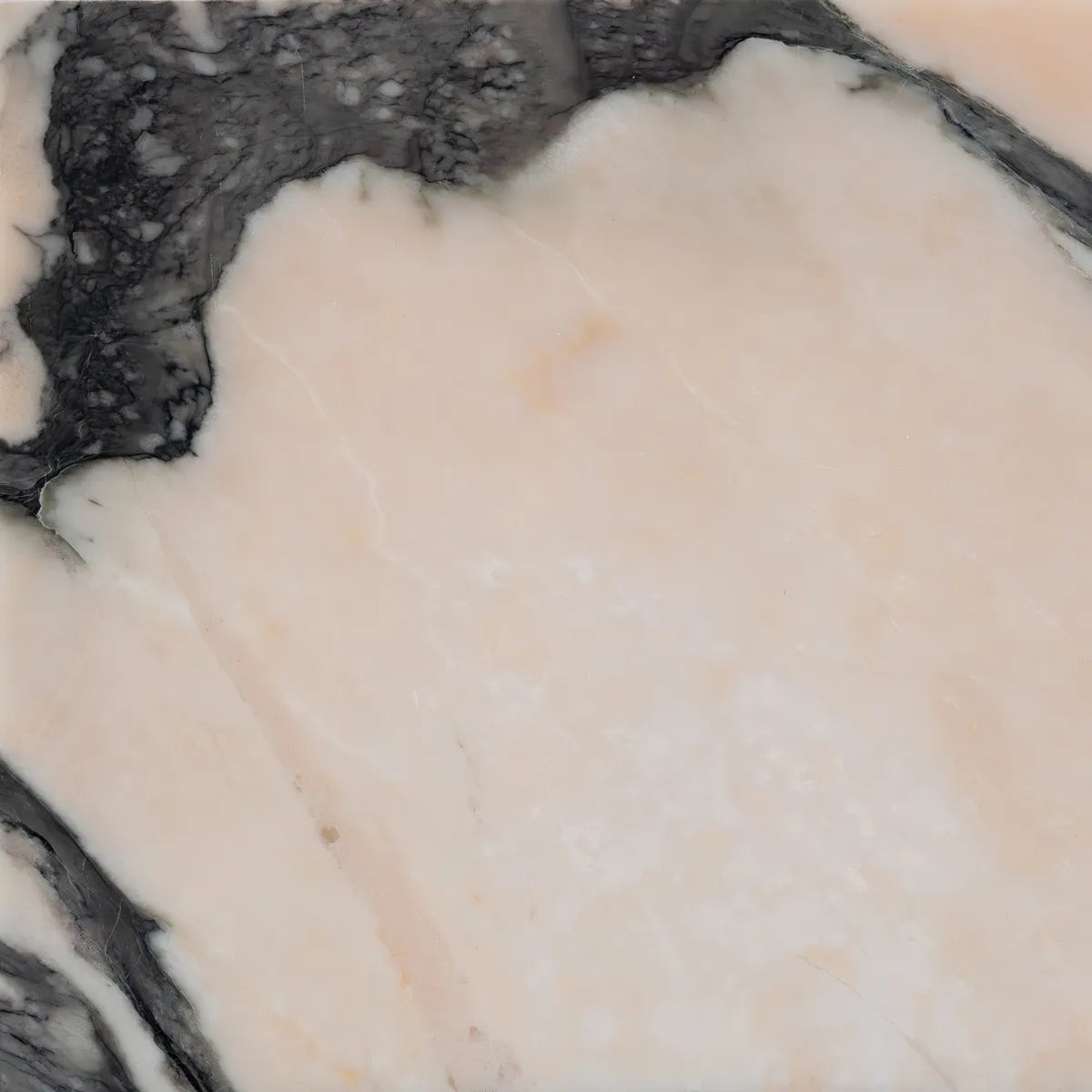 Natural Stone Sample Arabescato Adige
