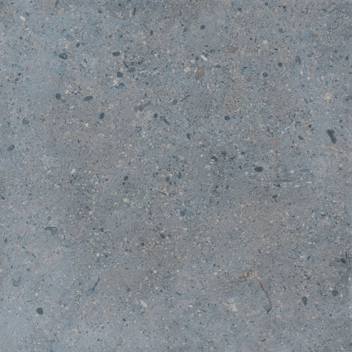 Natural Stone Sample Blue Heron