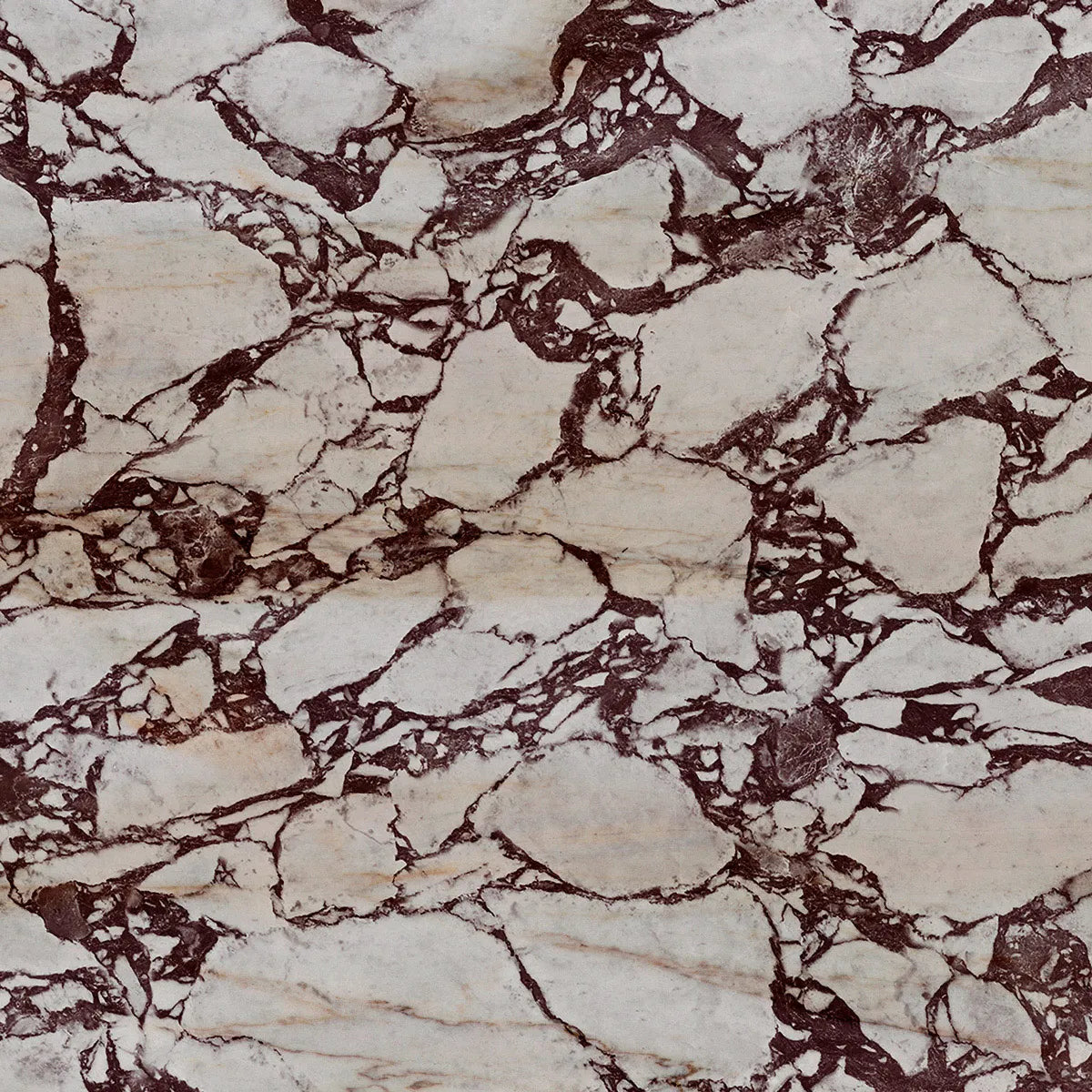 Natural Stone Sample Breccia Medicea