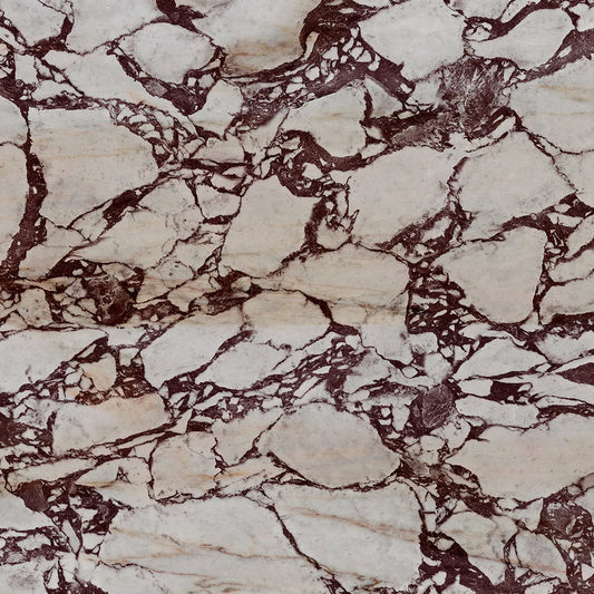 Natural Stone Sample Breccia Medicea
