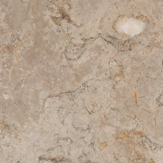 Natural Stone Sample Brecha Sto Antonio
