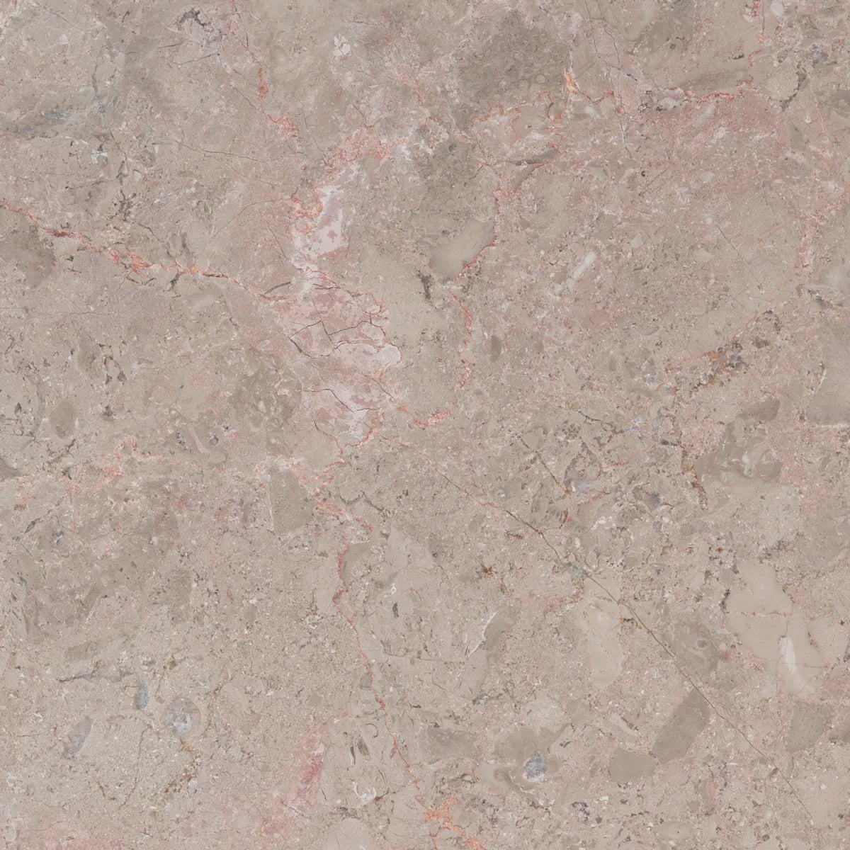 Natural Stone Sample Brecha Tavira