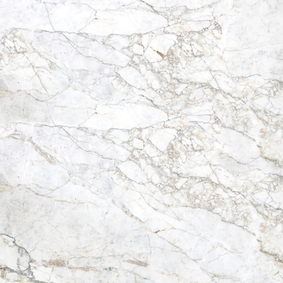Natural Stone Sample Calacata Vagli