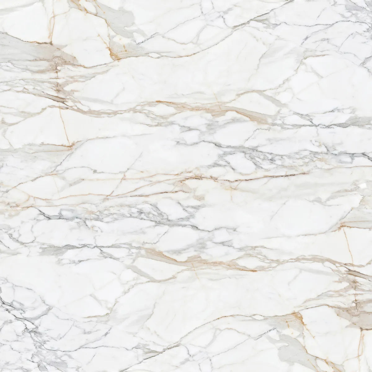 Natural Stone Sample Calactta Borghini