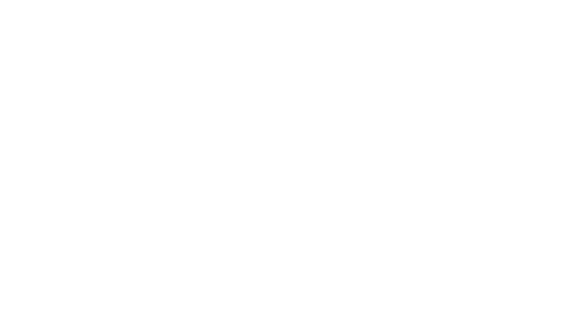 Viriatum logo